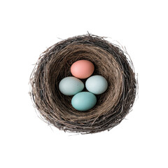 Bird nest with three pastel colored eggs, including pink and blue, symbolizes new beginnings and nature beauty. nest is intricately woven, showcasing natural textures