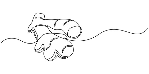 Ginger vector illustration. One line drawing art illustration organic ginger, Single one line drawing of healthy organic ginger for harvesting logo identity. Fresh flowering plant rhizome concept pro.