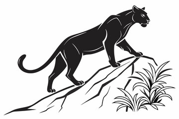 Fototapeta premium puma sihouette black vector