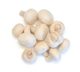 Edible button mushroom isolated on white background