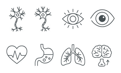 Organ icon set. medical silhouette symbols: neuron, eye, heart, stomach, lungs, brain vector icons.