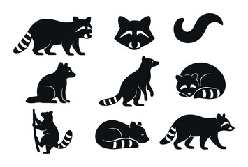 Naklejka premium Raccoon icon set. wildlife silhouette raccoons. animal, mask, tail, climbing, sleeping vector icons.