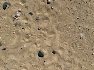 footprint im sand