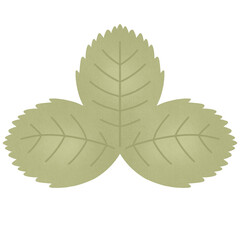 strawberry leaf