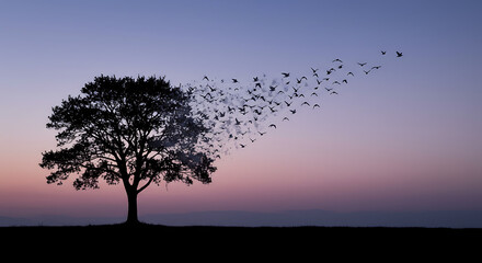 Abstract silhouette of a tree dissolving into birds, dreamlike and poetic.