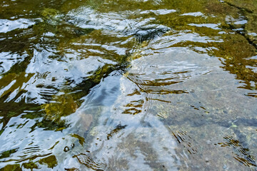Close-up of clear stream water over riverbed stones.The water movement of river surface. Selective focus.