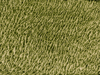 texture of a green carpet