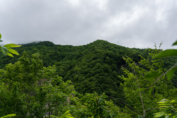 thick clouds hung over the green mountains of Georgia