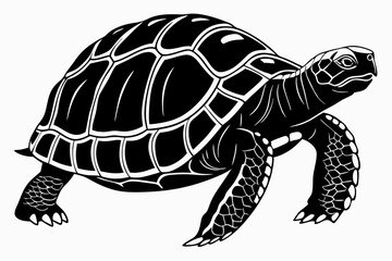 Fototapeta premium aldabra tortoise sihouette black vector