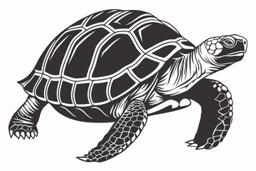 Fototapeta premium aldabra tortoise sihouette black vector