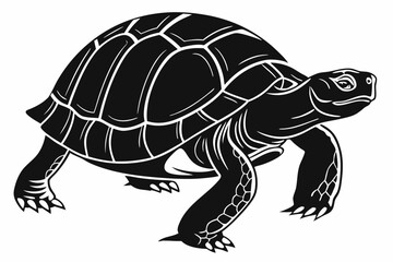 Fototapeta premium aldabra tortoise sihouette black vector