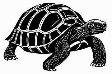 Fototapeta premium aldabra tortoise sihouette black vector