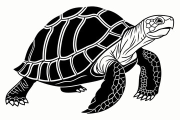 Fototapeta premium aldabra tortoise sihouette black vector