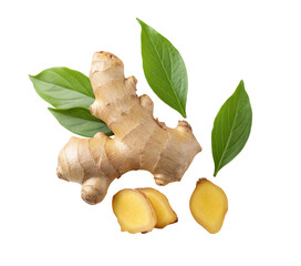 Fresh ginger root with green leaves for health benefits and culinary use on black background close up view