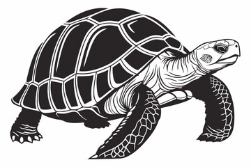 Fototapeta premium aldabra tortoise sihouette black vector
