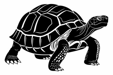 Fototapeta premium aldabra tortoise sihouette black vector