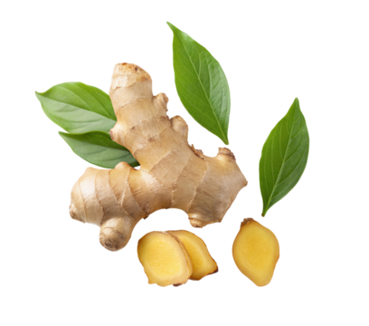 Fresh ginger root with green leaves for health benefits and culinary use on black background close up view