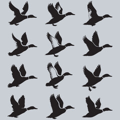 Flying Duck Silhouettes Collection