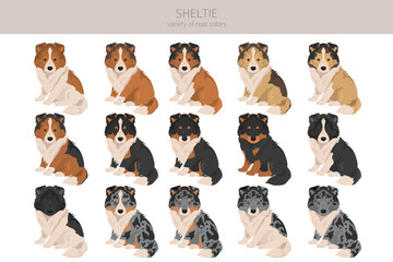 Sheltie, Shetland sheepdog clipart. Different poses, coat colors set.  Vector illustration