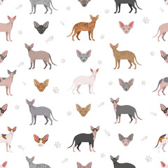 Canadian Sphynx Cat clipart. All coat colors set.  All cat breeds characteristics infographic. Vector illustration