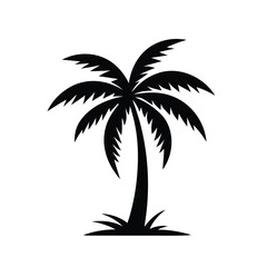 palm tree silhouette