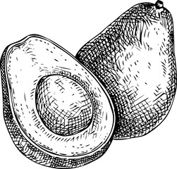 Avocado sketch. Hand drawn fruit illustration. Natural ingredients, organic food logo design. Not AI generated