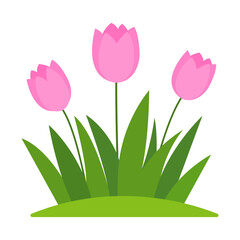 Cartoon Flat Pink Flowers In Green Grass, Isolated On White Background. Vector Illustration