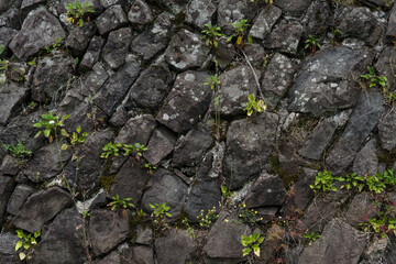 The stone wall of the old fortress of Gvara. The background is a stone wall