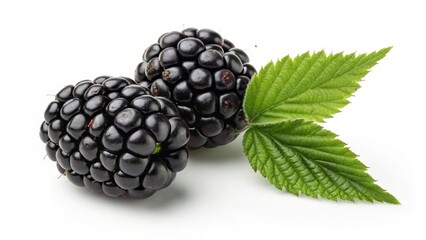 Two Blackberries with Leaf Close-up Studio Shot, Food Photography, Nature, Macro Blackberry, Fruit