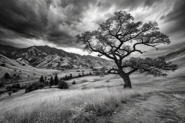Dramatic grayscale landscape. A lone tree stands amidst a valley, mountains loom in the background, and dark clouds gather overhead