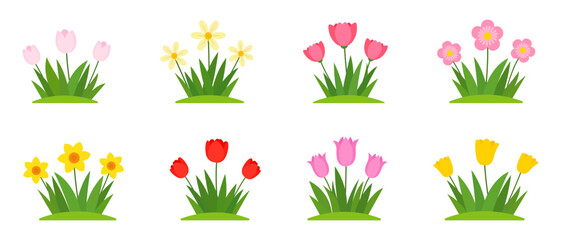 Set Of Vector Flat Flowers In Green Grass, Isolated On White Background. Vector Illustration
