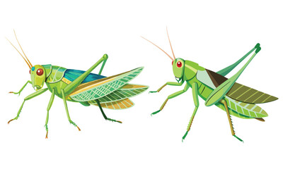 Cute Green Grasshopper Cartoon Illustrations - Realistic & Stylized Insect Art