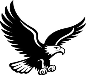 Obraz premium eagle in flight