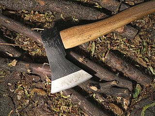 Hand Axe with Natural Wood Sticks for DIY Landscaping and Self-Sufficient Living