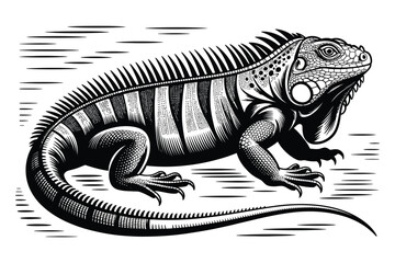 Obraz premium iguana vector illustration