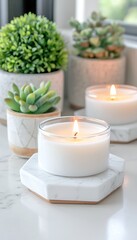 Scented candles and plants on a countertop