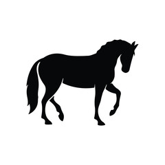 horse silhouette isolated on white, 
