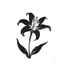 lily flower isolated on white Silhouette