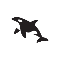 dolphin isolated on white Silhouette