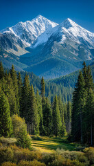 Fototapeta premium Snow-capped mountain range overlooking lush green forest and verdant valley