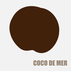 Rare Coco de Mer nut icon, sea coconut, coco de mer, or double coconut. Lodoicea fruit