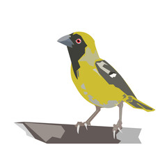 Yellow bird sitting on a tree branch. Children's drawing isolated on white background. Exotic bird drawn as vector illustration for postcard and for website