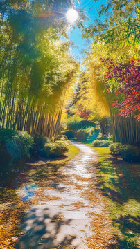  sunlit bamboo path surrounded by vibrant autumn foliage