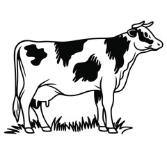Black and white cow grazes serenely on grass in a simple line drawing