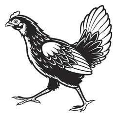 Black and white chicken strides confidently forward, featuring intricate feather details and sharp, contrasting lines