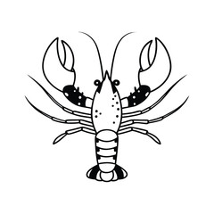 Black and white line drawing shows detailed outline of a crustacean with claws