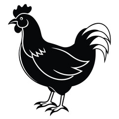 Black chicken stands in a side view showing its wattle, comb, and feathered plumage