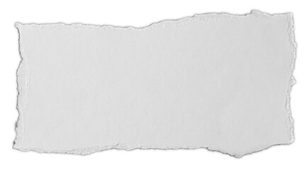 Torn paper piece on white