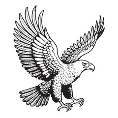 Obraz premium Vector silhouette of an eagle in flight with outstretched wings, a powerful symbol of freedom in nature