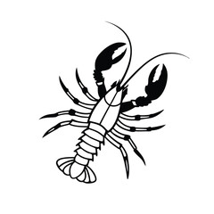 Detailed silhouette shows a spiny lobster with large claws and many legs